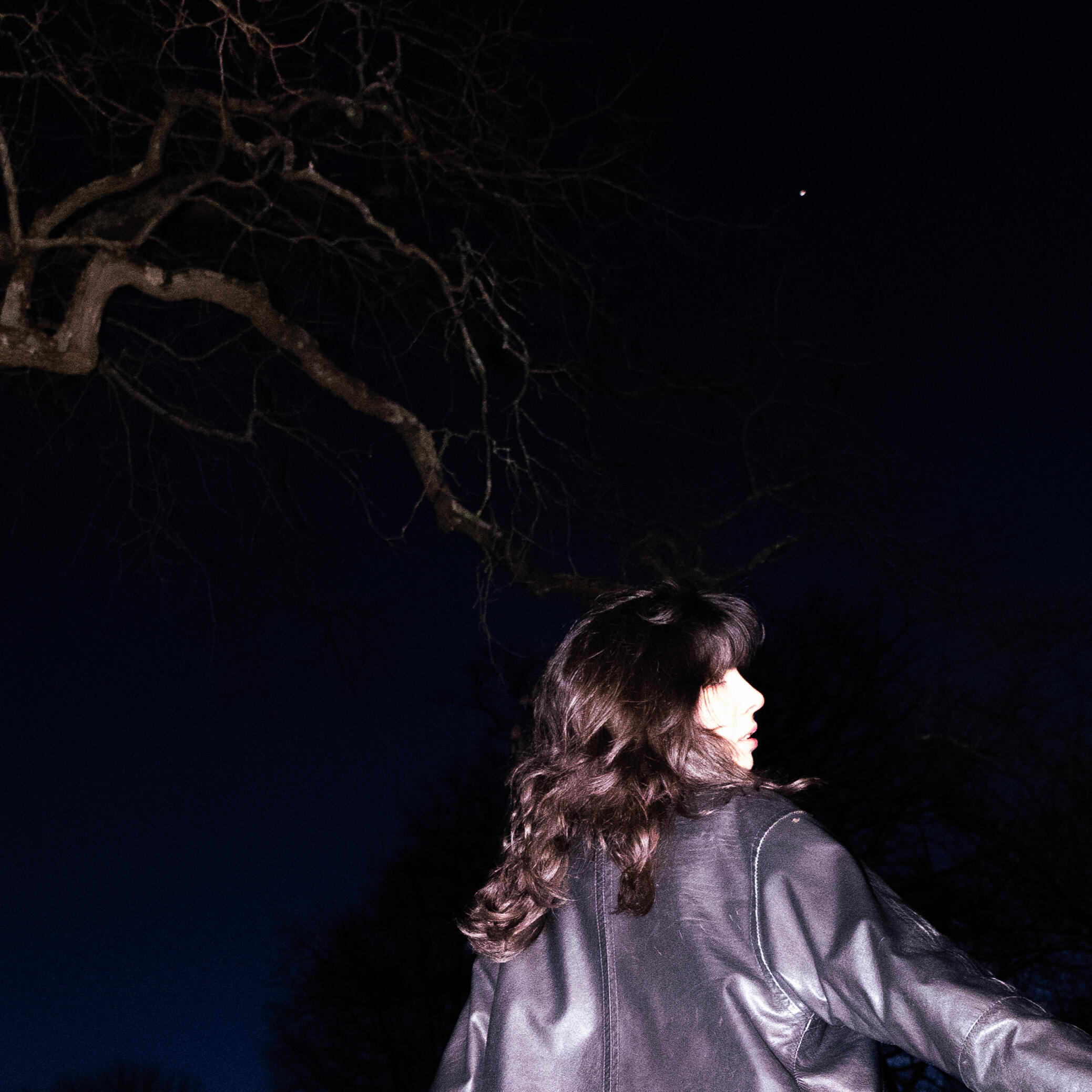 cover art for "portrato"